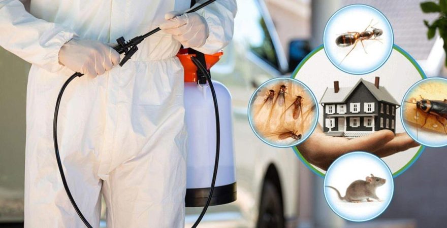 Özkanlar Böcek İlaçlama