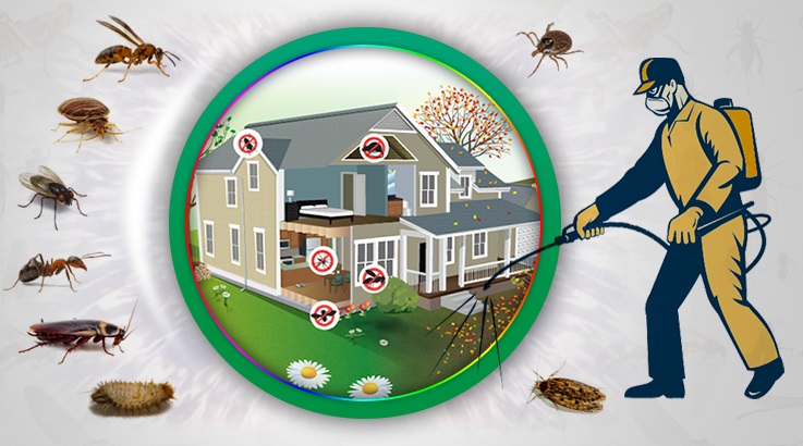 Özkanlar Böcek İlaçlama