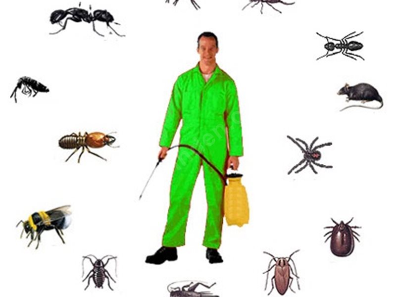 Özkanlar Böcek İlaçlama